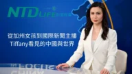 從加州女孩到國際新聞主播 Tiffany看見的中國與世界