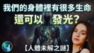 【未解之谜】我们身体里有很多生命可以发光？