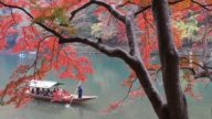 【禁聞】中共抵制赴日旅遊 日本觀光業強勁增長