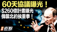 【新闻直击】普京求长生 $260亿计划曝光 俄袭北约挨重拳!